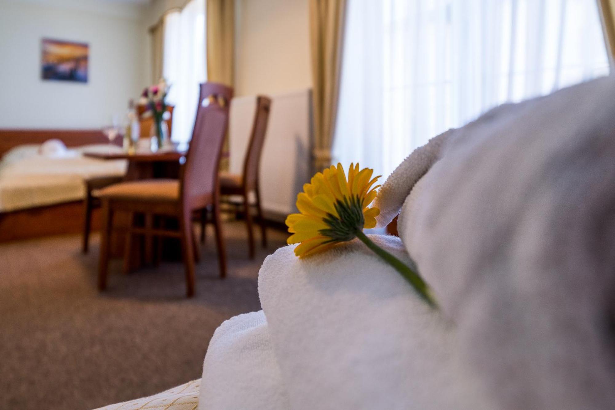 Villa Martii - Komfortowe Apartamenty Z Aneksami Kuchennymi - Spokojna Okolica, Blisko Plazy Władysławowo Eksteriør billede